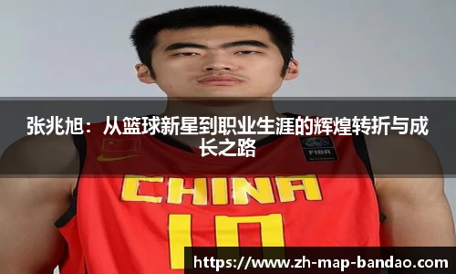 半岛体育APP