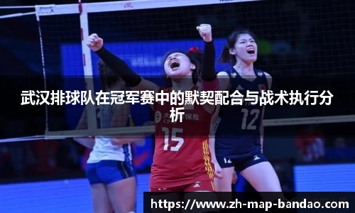半岛体育APP